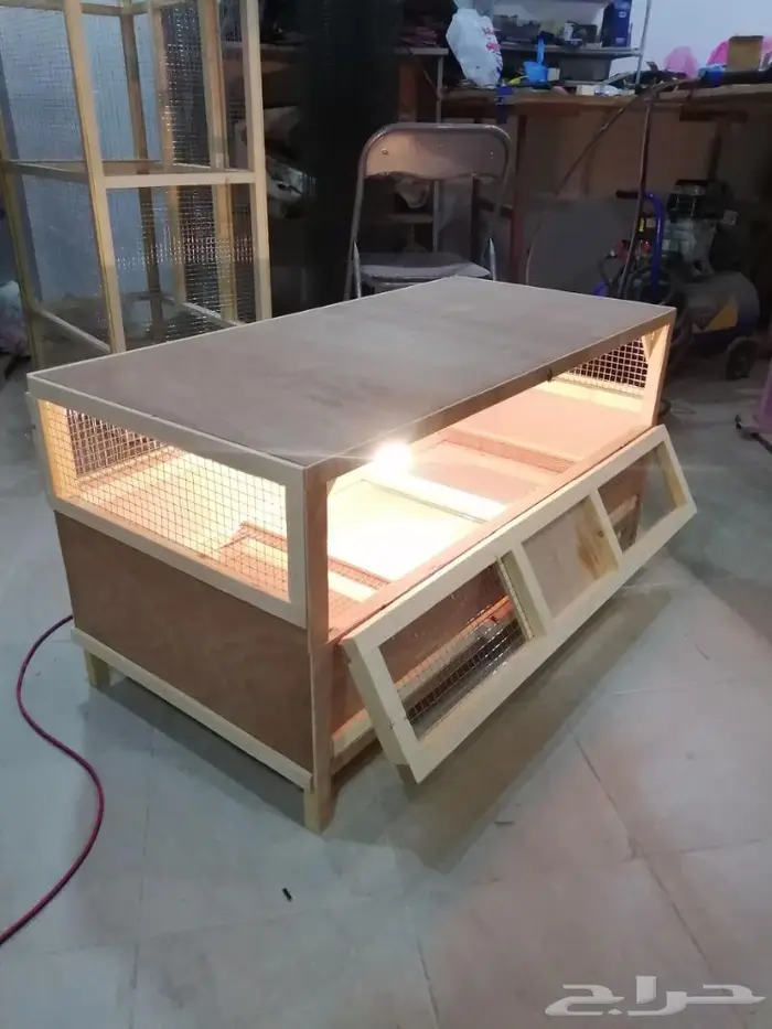 حظانة صوص إنتاج دواجن 6