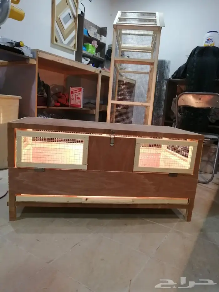 حظانة صوص إنتاج دواجن 7