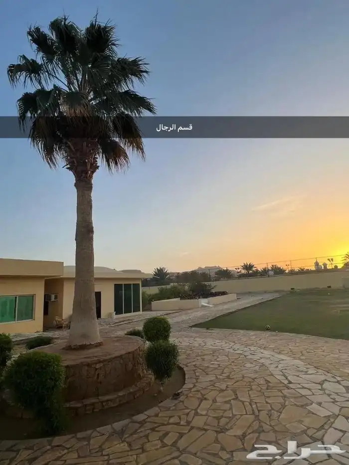 استراحة بملعب كرة قدم وكرة طائرة كبير فديراب 1