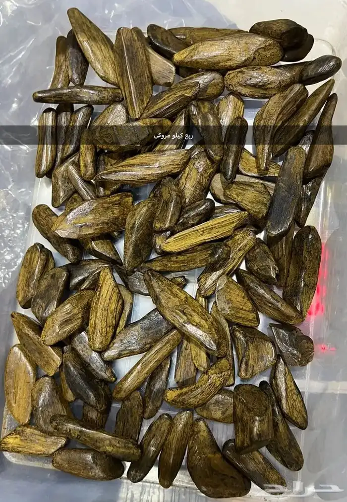 عود مروكي محسن 0