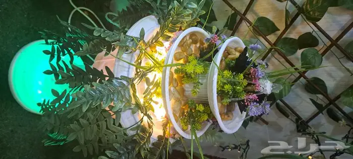 نافورة منزلية 16