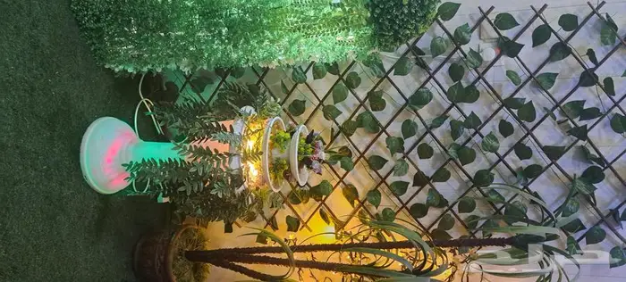 نافورة منزلية 14