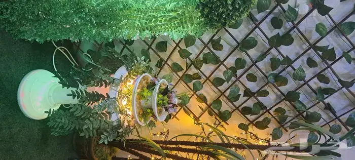 نافورة منزلية 15