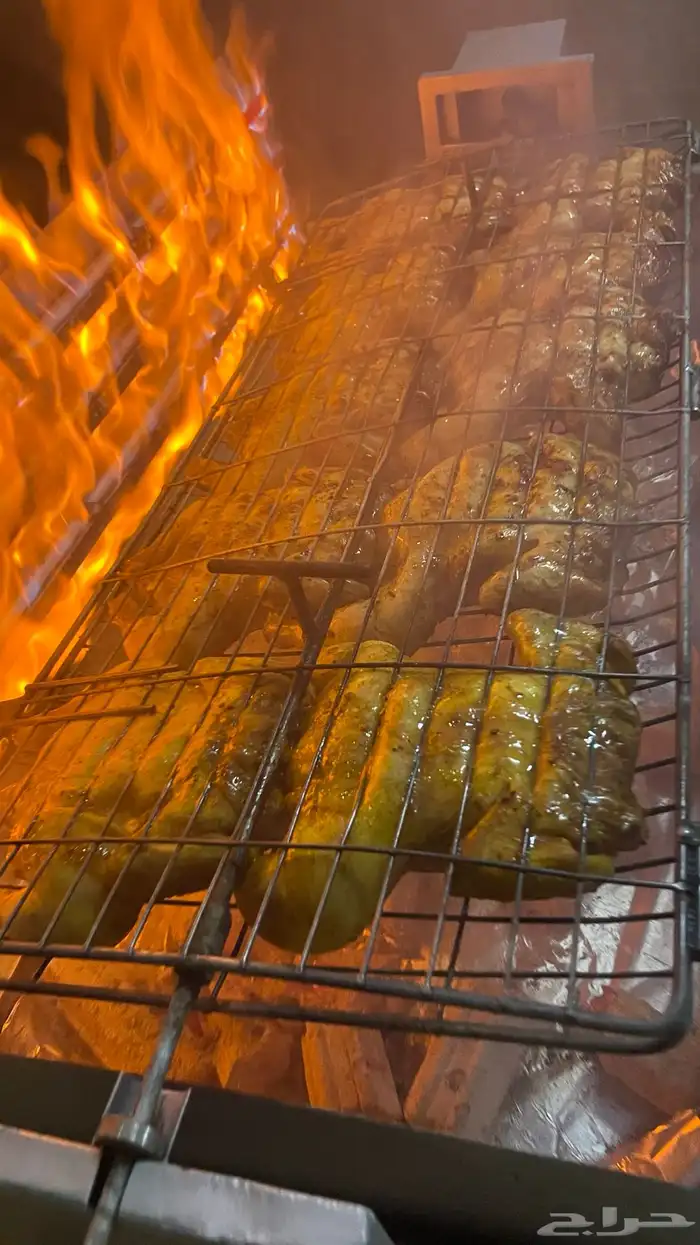 شواية على الغاز والفحم 11