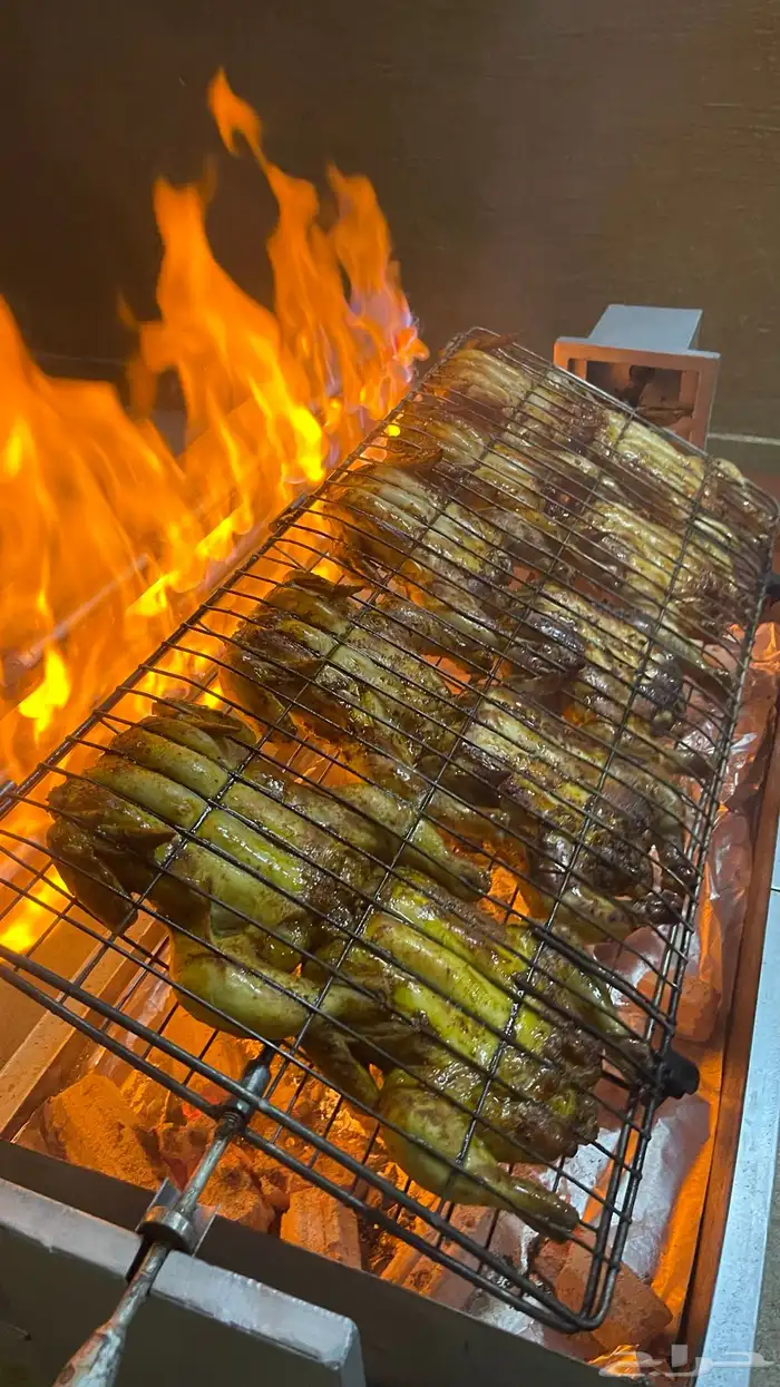 شواية على الغاز والفحم 13