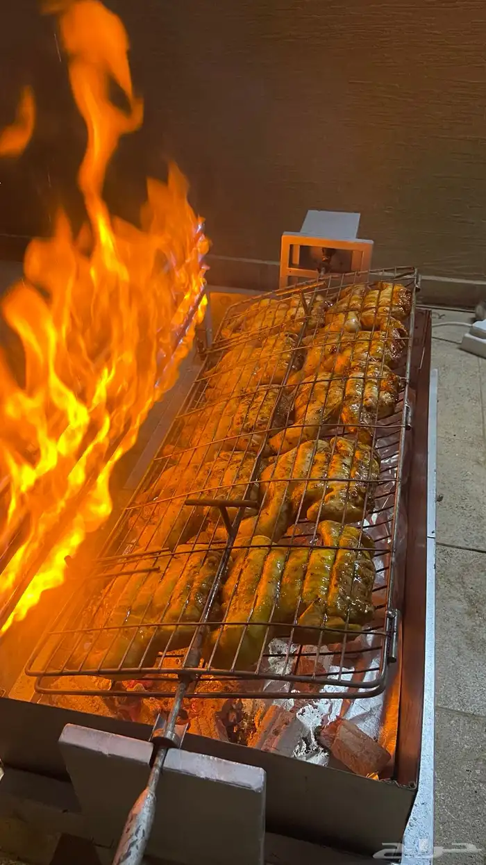 شواية على الغاز والفحم 12