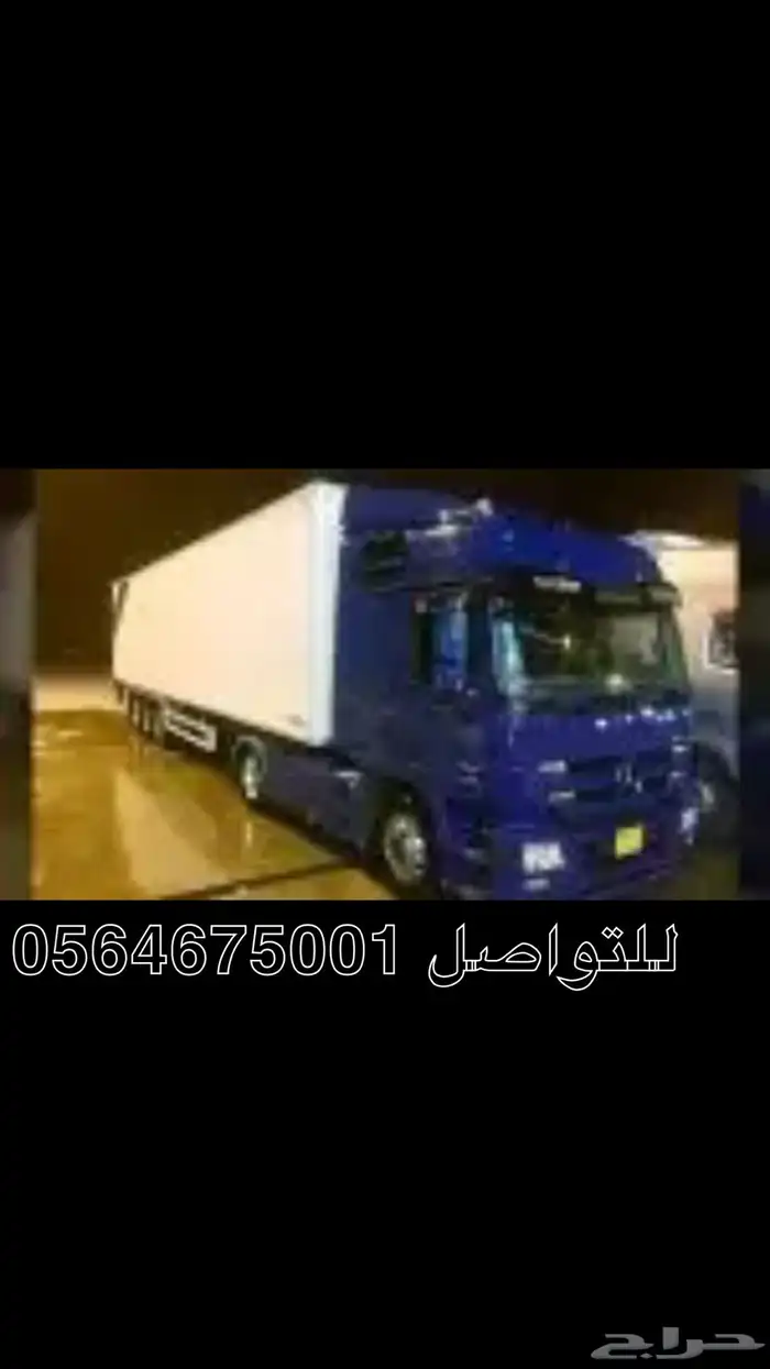 ايجار برادات دينات مصرحة دينا مصرحة 1