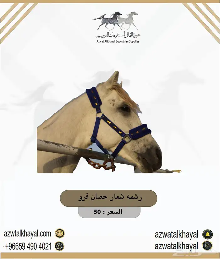 سرج ستيتوس يوجد اقساط ب 223 8