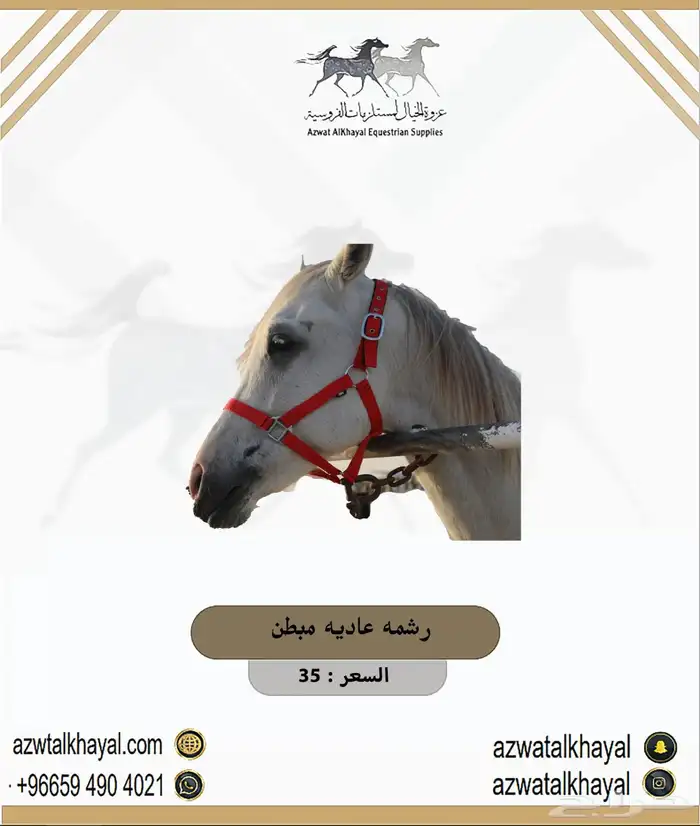 سرج ستيتوس يوجد اقساط ب 223 7