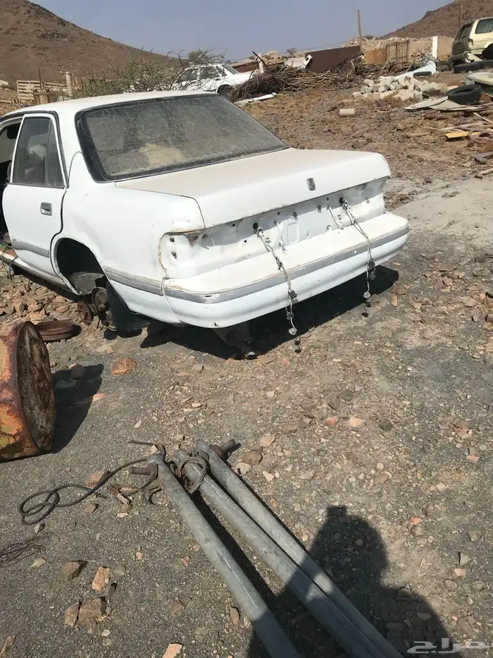 المدينه المنوره 3