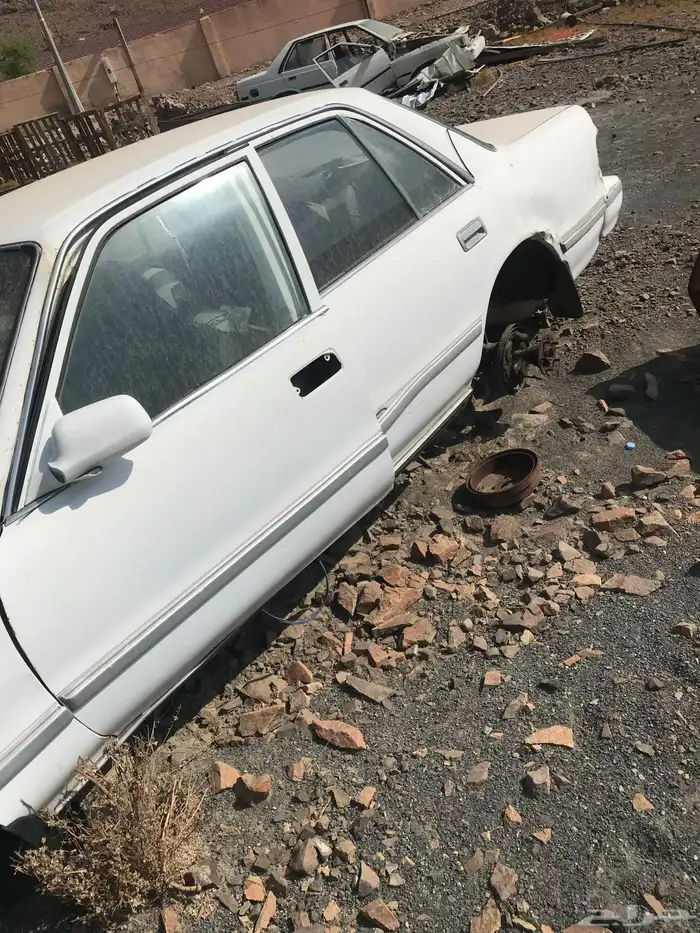 المدينه المنوره 0