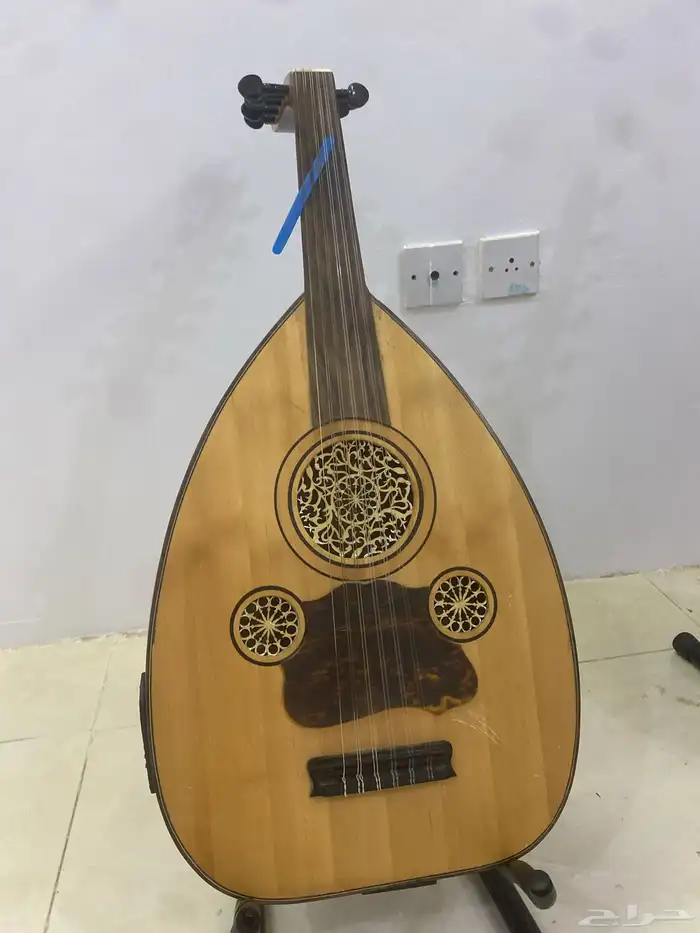 عود كهربائي للبيع 0