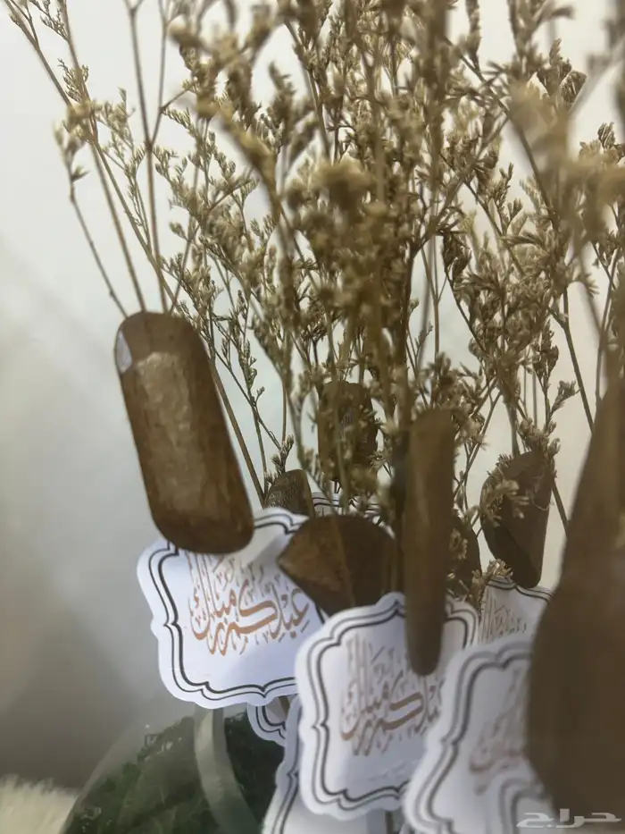 توزيعات فازة العود 0