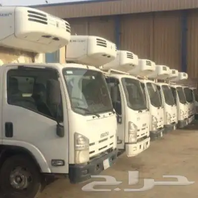 ايجار برادات دينات مصرحة دينا مصرحة 0