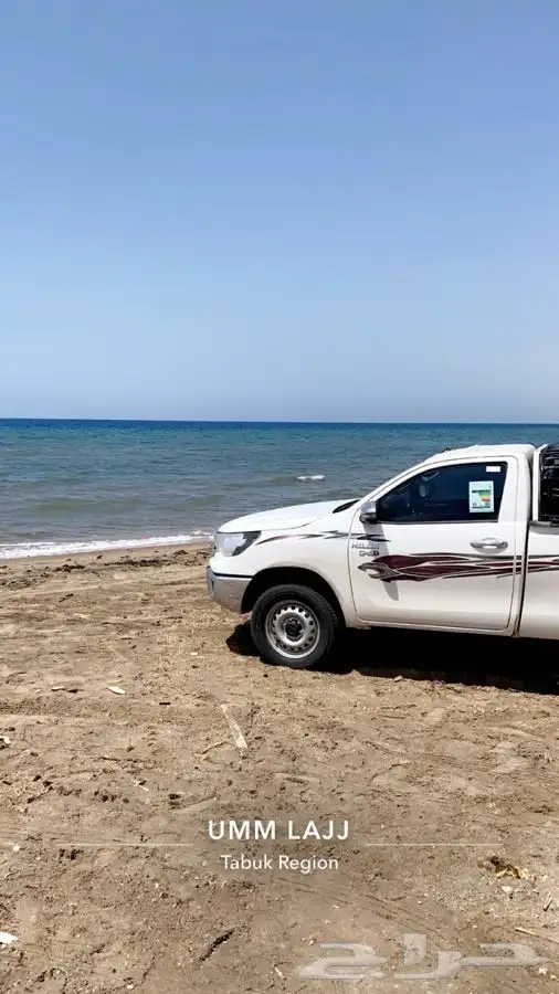 توصيل حلال موصل اغنام طيور حشو الجميع مناطق المملكه 0
