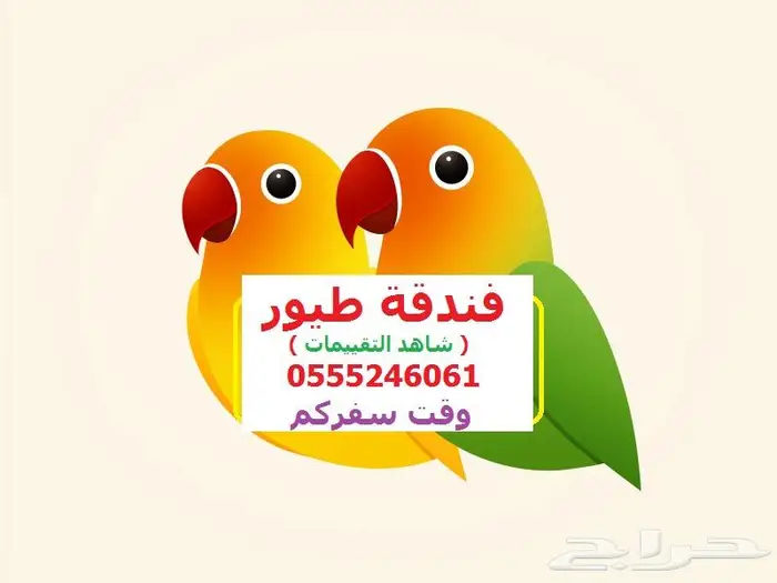 في سفركم - فندقة قطط وطيور - 61 60 24 0555 شاهد التقييمات 1