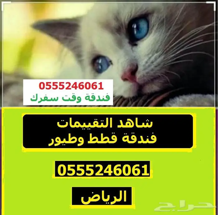 في سفركم - فندقة قطط وطيور - 61 60 24 0555 شاهد التقييمات 0