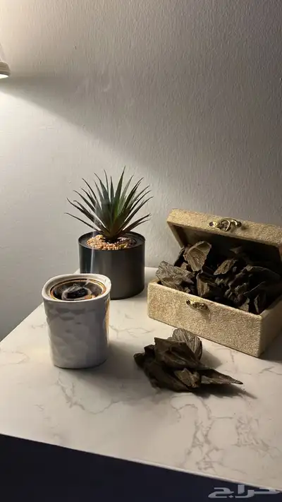 عروض الحاتم للعود 2