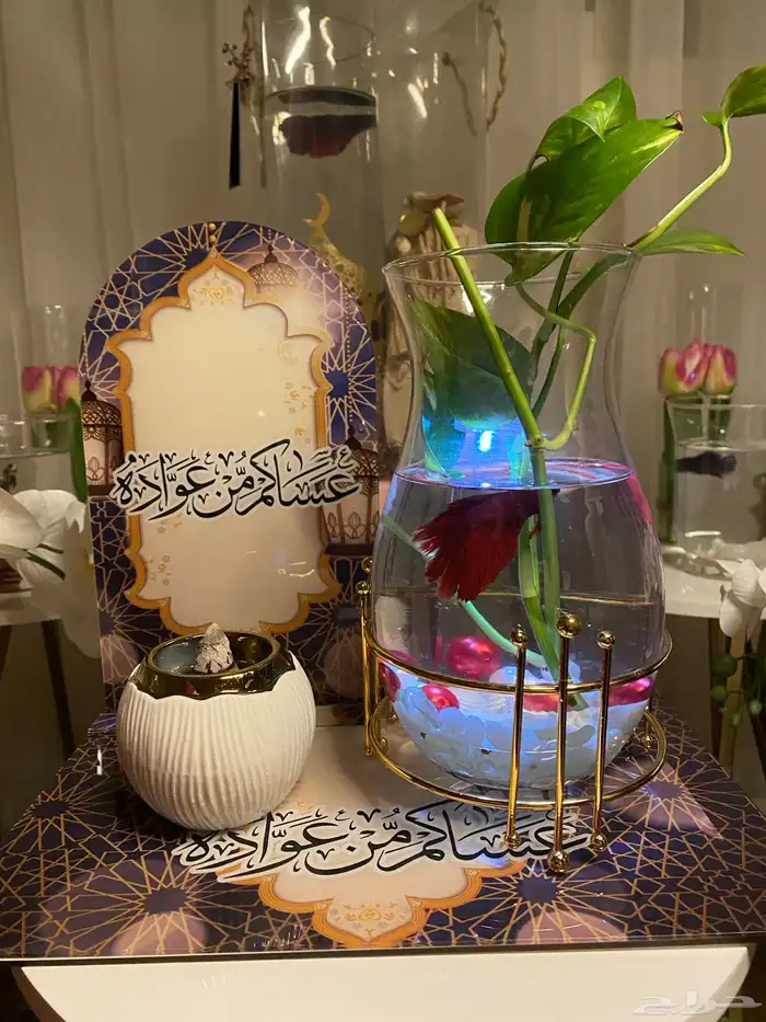 عروض سمك الفايتر 7