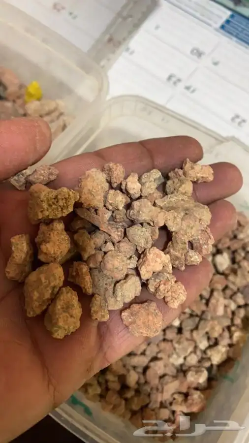 بطحا حايل فرشه 4