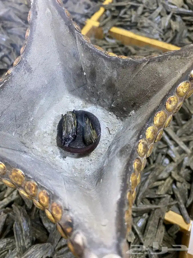 مزاد لمدة ساعه على الكلمنتان بيور 2