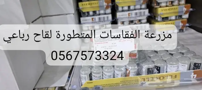 تحصينات دواجن اللقاح الرباعي المطور الأمريكي 0