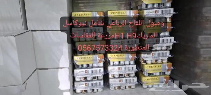 تحصينات دواجن اللقاح الرباعي المطور الأمريكي 1