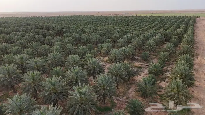 مصور درون عقارات مزارع مشاريع حفلات الخرج الرياض الأفلاج 0