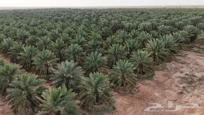 مصور درون عقارات مزارع مشاريع حفلات الخرج الرياض الأفلاج 2