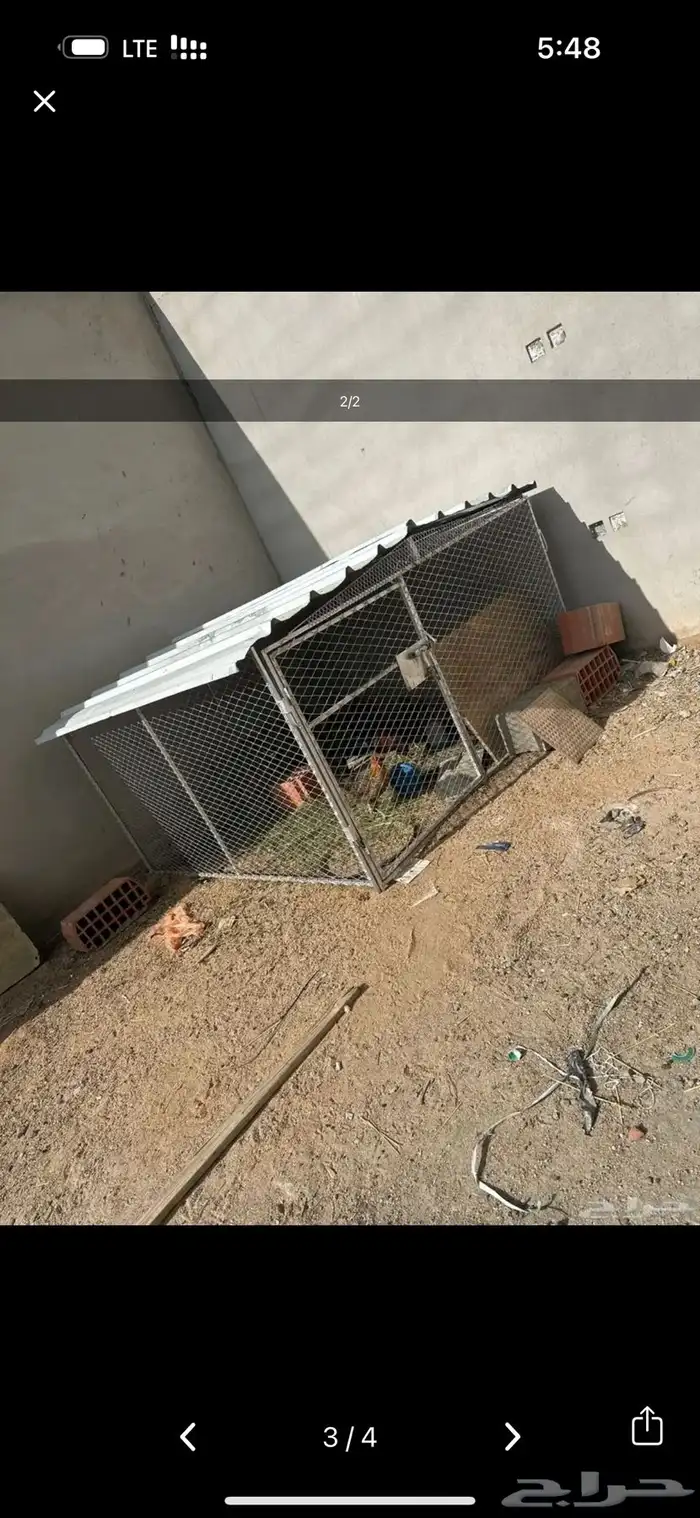 شبوك للبيع 3