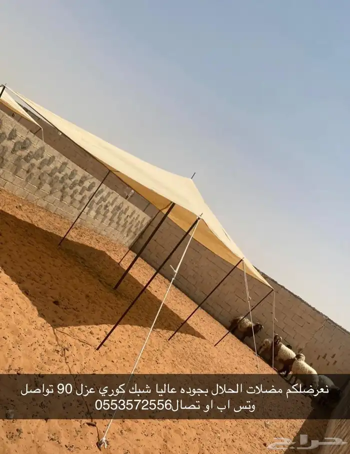 مضلات الحلال جميع المقاسات 6