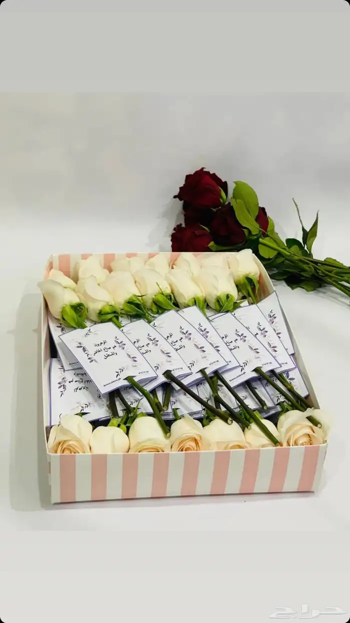 توزيعات ورد الجوري للتخرج مع الكرت بسعر مخفض 18