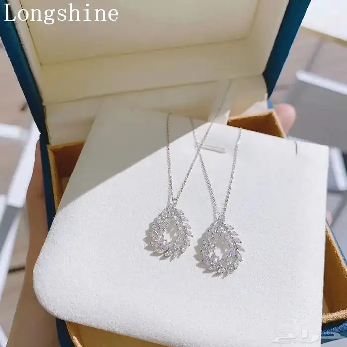 اكسسوارات بلاتين 6