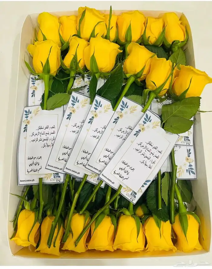 توزيعات ورد الجوري للتخرج مع الكرت بسعر مخفض 15