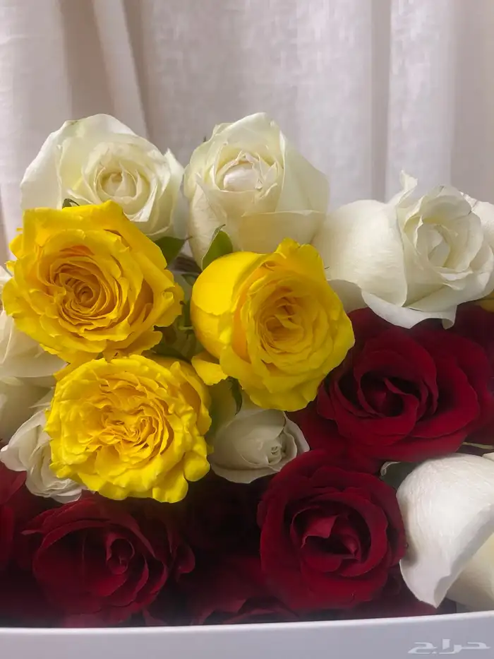 يتوفر توزيعات ورد الجوري مع طباعة الكروت 9