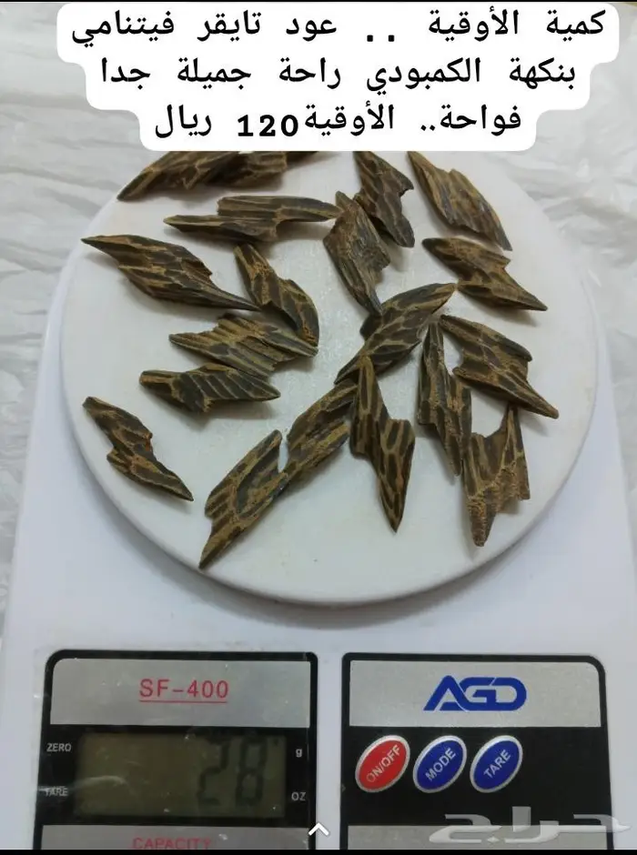 العندليب للعود والعسل 8