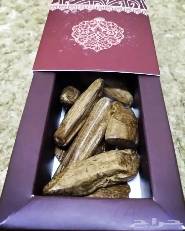 العندليب للعود والعسل 4