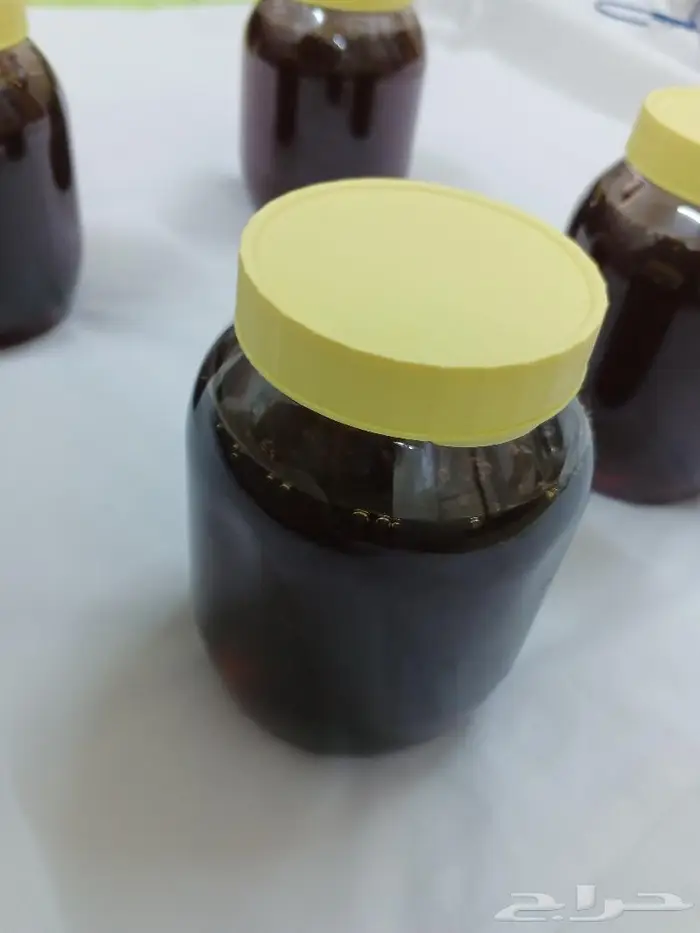 العندليب للعود والعسل 11