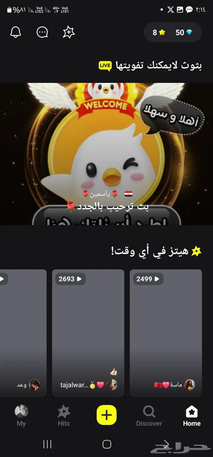 حساب حكونا العصفور للبيع 1
