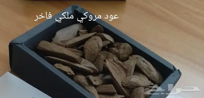 العندليب للعود والعسل 2