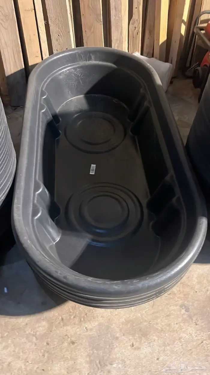 شبوك ابل شبوك غنم مضلا ابل مضللة غنم وبل 1