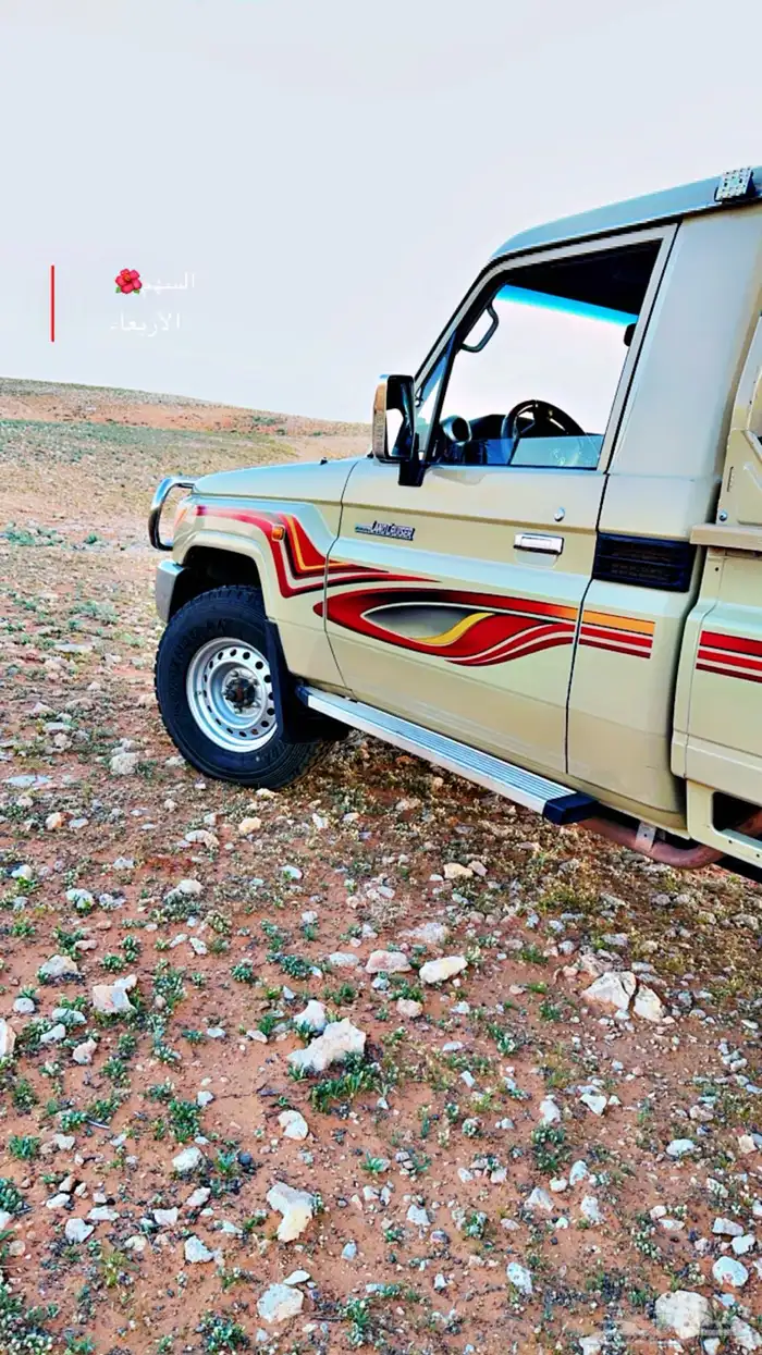 شاص 2013 فطيمي فل 1