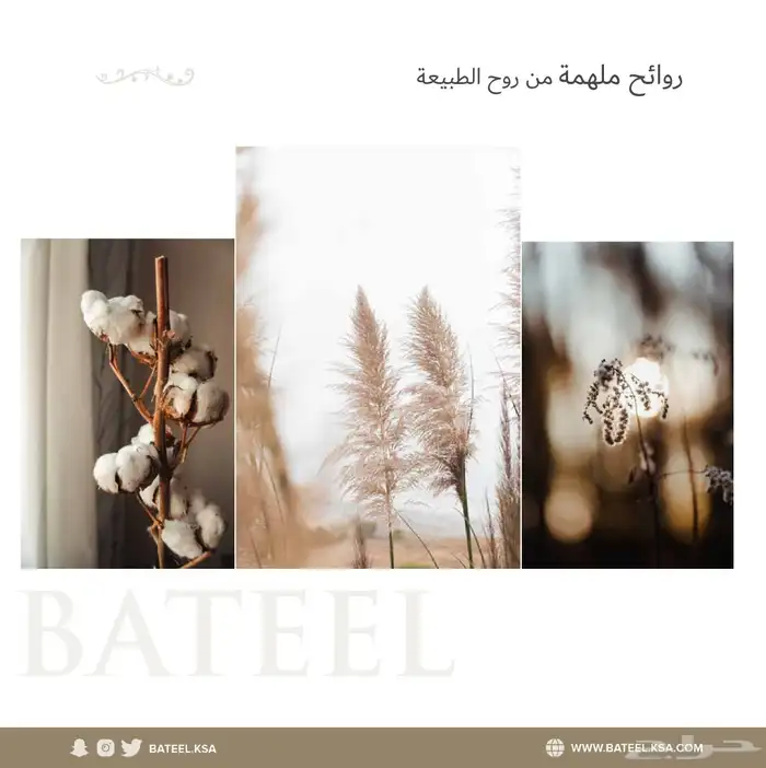 فواحة عطرية   معطر أجواء   جهاز تعطير فندقي 6