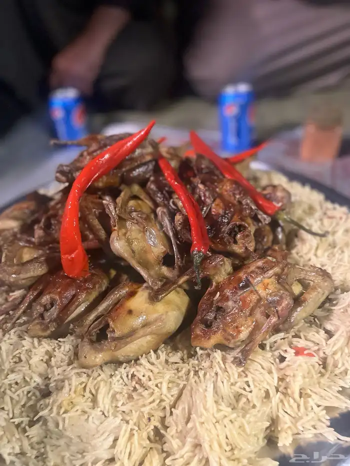 زغليل فرنسي 7