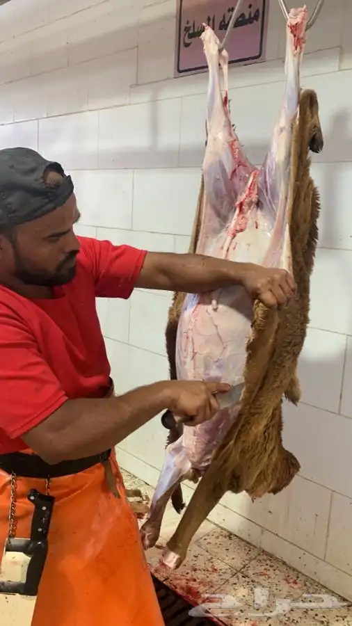 ذبايح طيبه مقفله لحم وشحم وشي فاخر من الاخر 20