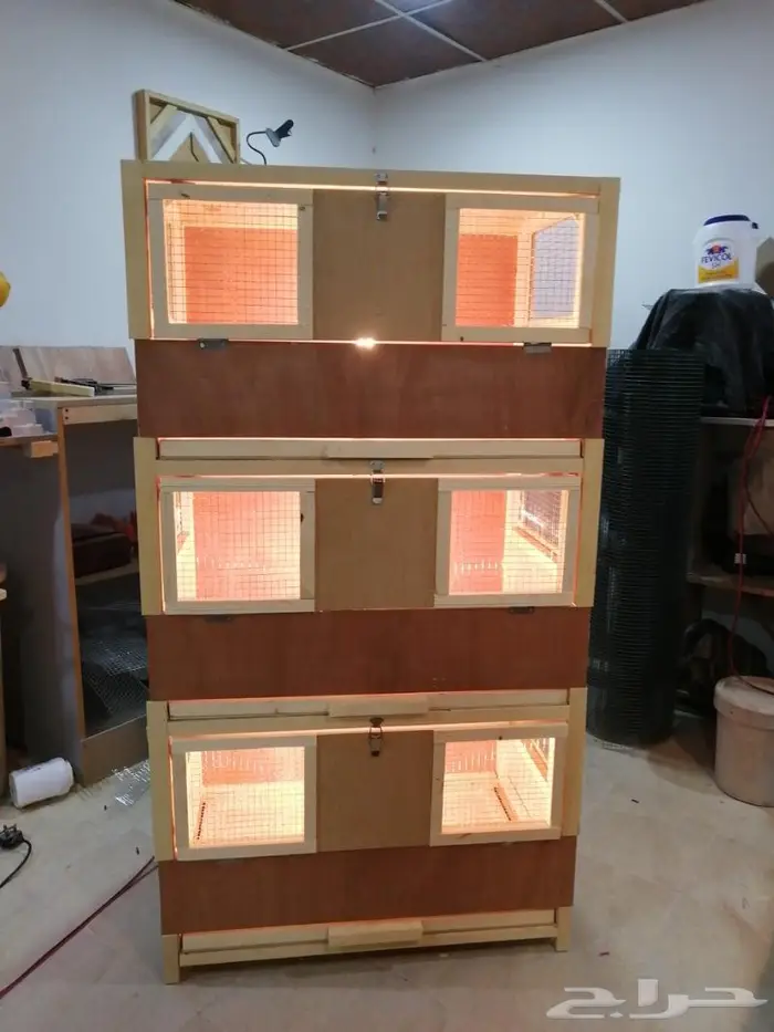 حضانة صوص إنتاج دواجن 0