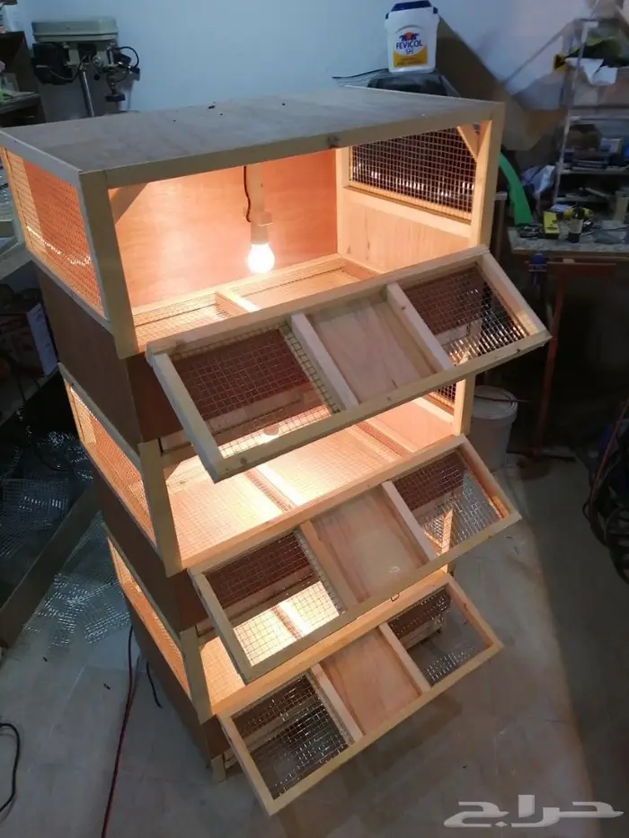 حضانة صوص إنتاج دواجن 3