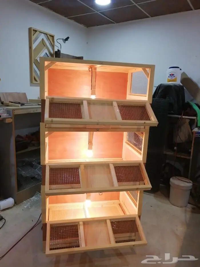 حضانة صوص إنتاج دواجن 2