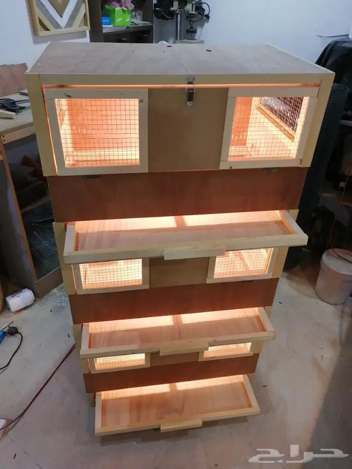 حضانة صوص إنتاج دواجن 6