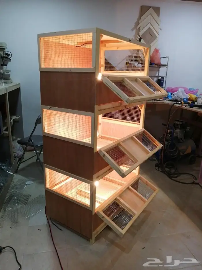 حضانة صوص إنتاج دواجن 5